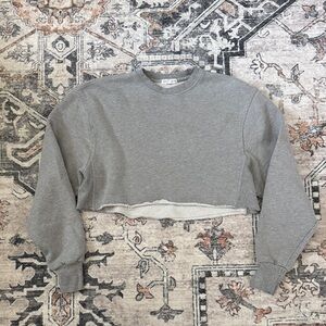 Good American Cropped Sweatshirt